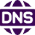 DNS icon