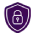 Secure Server icon
